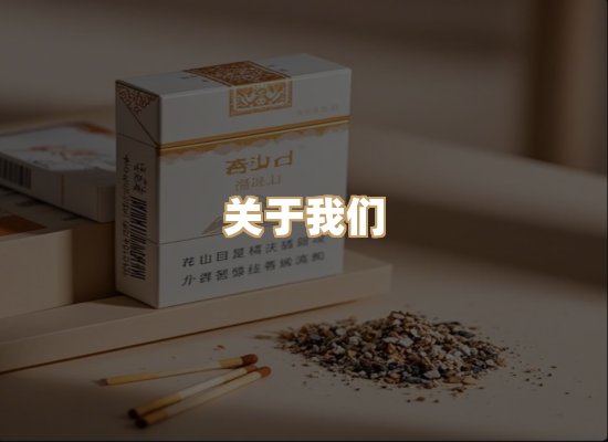 关于御龙烟网